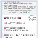 크림이젤 이미지