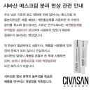 쎄봉에스테틱 네이버블로그