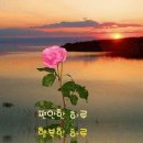 힘내세요 이미지