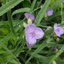 이재익 농장 이미지