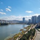 고요부동산중개법인 이미지