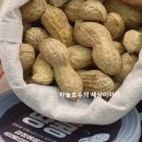 이엠파머스