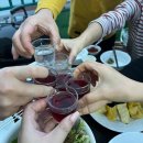 비치화이트애견펜션 네이버블로그