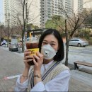 미트포레 이미지