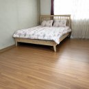 비둘기 펜션 이미지