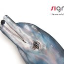 시그니아 보청기 서대문센타 이미지