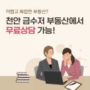 금수저부동산중개사무소 | 천안 부동산 상담 제대로 받는 방법 | 금수저부동산 전문가 상담