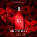 스킨독스 이미지