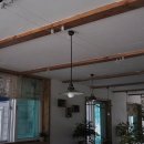 벤자민&데이지 이미지