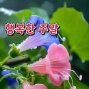 주말 이미지