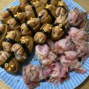 NR-15[백아로]-상-97 | 📝