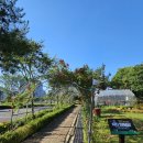 디자인힐링전주 이미지
