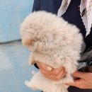 구계리경로당 이미지