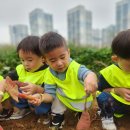 갈현농장 이미지