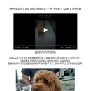 강남덴탈랩 이미지