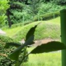 광주이씨 시조비 묘역 이미지