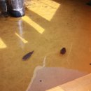 욕지도한려펜션 이미지