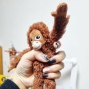 데이포네일 이미지