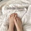 메종드다이아 이미지