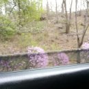 초성 농장 이미지