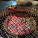 경성갈매기