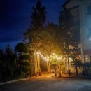 제주도 게스트하우스파티 빅썸 이미지