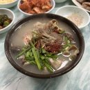 털보허파 | 넷플릭스 먹보와 털보 보고 바로 다녀온 제주 동문시장 광명식당 솔직후기
