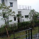 드림인제주 이미지