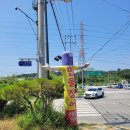 강산풍천민물장어 이미지