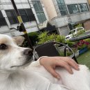 한결동물병원 이미지