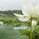 궁현2리 이미지