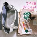 여수 죽림 동물병원 이미지