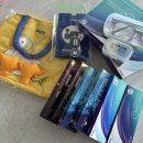 샤르망안경콘택트 | 도안동 안경점 으뜸플러스안경 으뜸플에서 콘택트렌즈 맞추고 왔어요