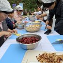 스테이 고요 이미지