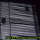 엄마떡볶이 - 경산시 하양로 96-1 | 엄마떡볶이