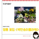백만송이플라워 이미지