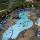 엘리시안강촌수영장 이미지