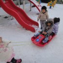 능곡숲어린이집 이미지