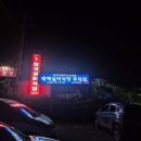 [강원 태백] '원조태성실비식당', 갈비살·살치살 제대로 하는 태백 현지 로컬 맛집 후기