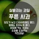 오늘야채오늘과일 이미지