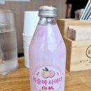 (주)하주 | 신촌 맛집 추천 혼밥하기 좋은 해장 라멘 맛집 멘츠루 신촌점 후기