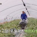 장포농장 이미지