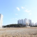 대성골든벨부동산공인중개사사무소 이미지