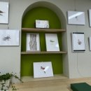 환경수지 이미지