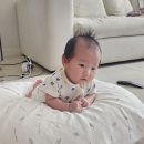 삼복더위에 안녕들 하십니까 이미지