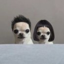 머노