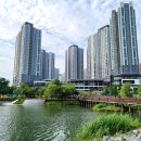 동탄호수공원 이미지