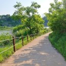 좌상바위 이미지