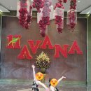 한국지엠이동바로서비스, | 나트랑 하바나 호텔 내돈내산 후기｜ 생일 케이크 서비스 + 스카이라이트 솔직 리뷰