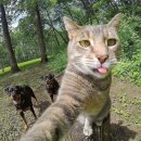 셀카 이미지
